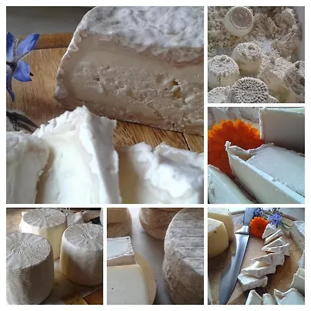 Séjour à la ferme Lean *