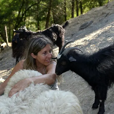 Lean Séjour à la ferme Valgiano