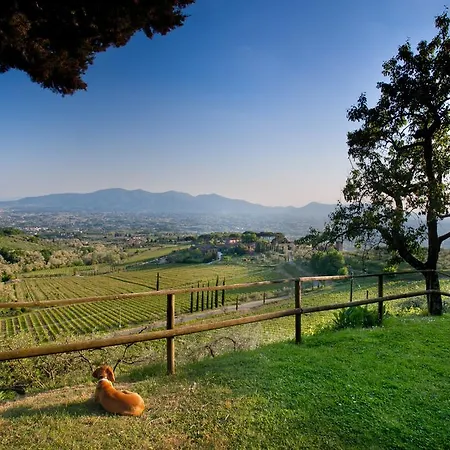 Séjour à la ferme Lean Valgiano